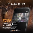 View all media