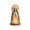 Virgin Mary, variant on MInHoues Resin Praying Virgin Mary Statue Tealight Candle Holder,5.9 Inch Blessed Mary Our Lady Figurine Candle Tray, Catholic Christian Prayer Room Bedroom Mantel Faith Decor Gift