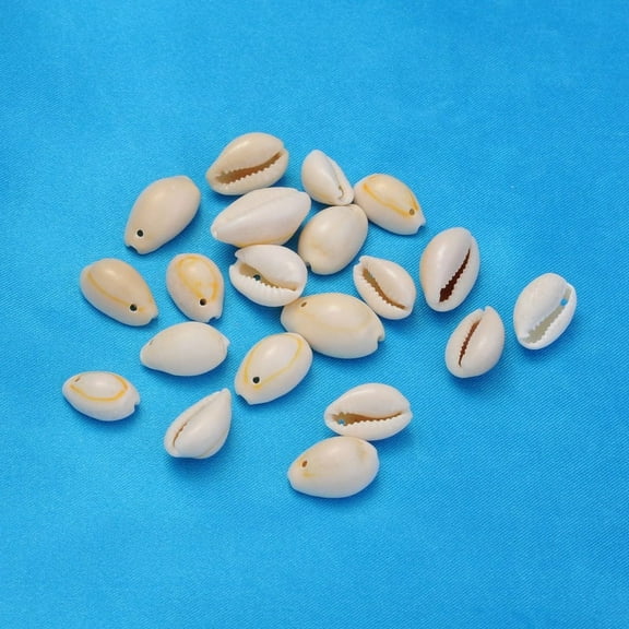 100pc Natural Cowrie Shell Beads Dyed Seashell Color Size: about 10~16mm long 10~11mm wide 3~5mm thick hole: 2mm