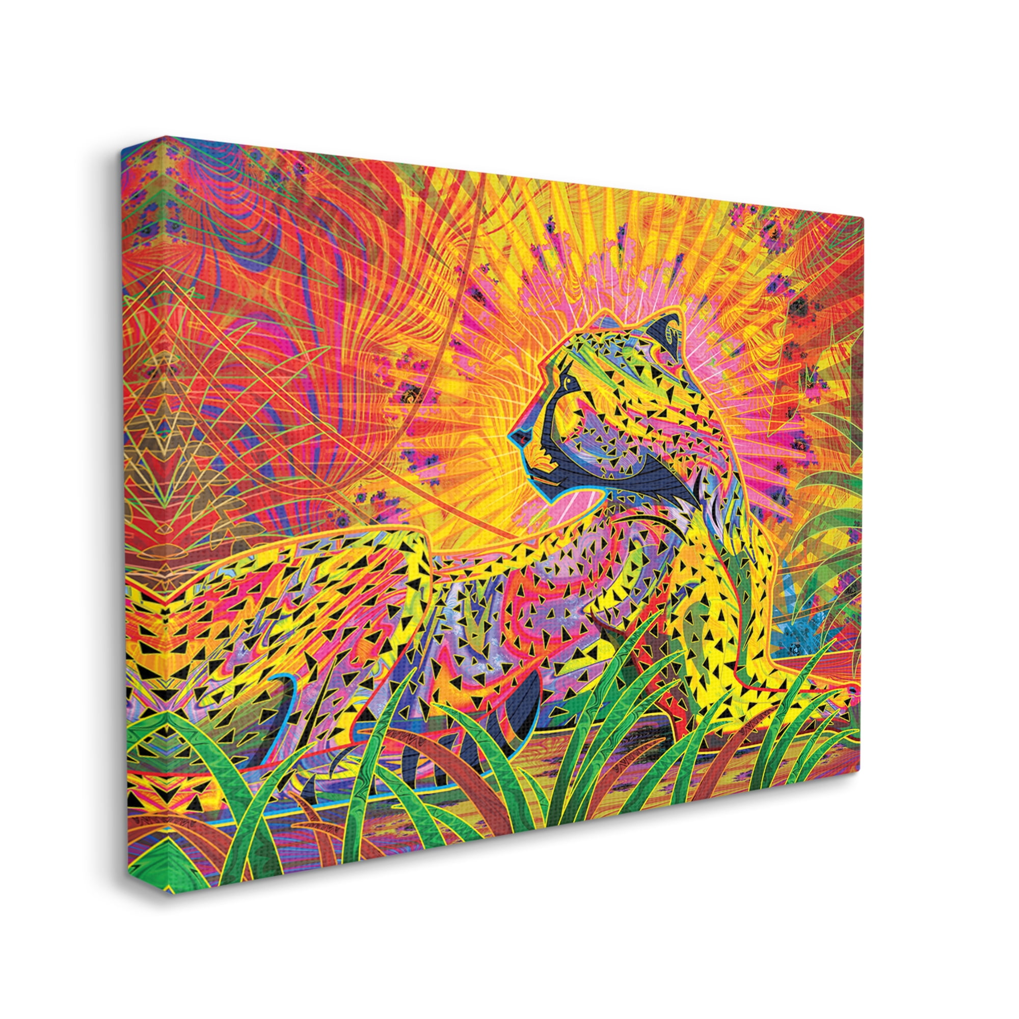 Stupell Industries Fractal Patterned Leopard Animals & Insects Painting Gallery Wrapped Canvas Print Wall Art, 20 x 16