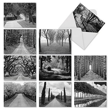 'M2313 TREE LINES' 10 Assorted Thank You Note Cards Featuring Black-And-White Photography Of Paths Through Trees with Envelopes by The Best Card