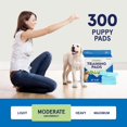 thumbnail image 4 of Almohadillas para orinar para mascotas Puppy Pads A World of Deals, 300 unidades, 22 x 22 cm, 4 of 7
