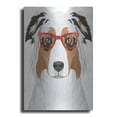 thumbnail image 1 of Luxe Metal Art 'Australian Shepherd Wearing Hipster Glasses' by Olga and Alexey Drozdov, Metal Wall Art, 12"x16", 1 of 7
