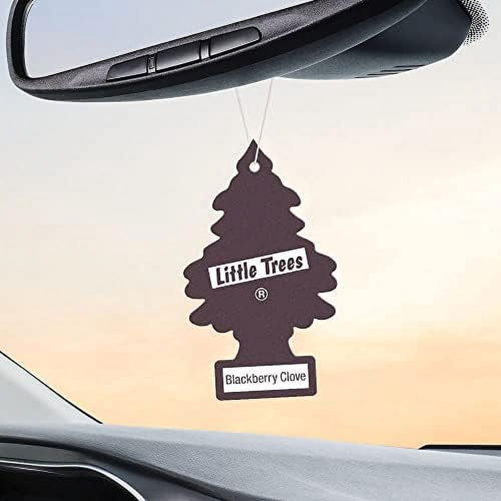 LITTLE TREES Air Fresheners Car Air Freshener. Hanging Tree Provides Long Lasting Scent for Auto or Home. Blackberry Clove, 24 Air Fresheners