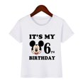 thumbnail image 5 of Ropa infantil con estampado de Mickey Mouse de Disney, es mi cumpleaños de 1, 2, 3, 4, 5, 6, 7, 8 y 9 años, camisetas para niños y niñas, lindas camisetas para bebés y niños, 5 of 5