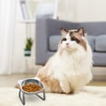 thumbnail image 6 of Elevated Dog Bowls, Stainless Steel Elevated Pet Bowl - Raised Dog Water Dish with Non-Slip Base for Comfortable Eating and Drinking, 6 of 8