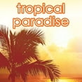 thumbnail image 5 of Suave Tropical Paradise Invisible Solid Anti-Perspirant Deodorant 2.6 oz (Pack of 12), 5 of 5