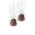 Wilton Treat and Cake Pops Bag Kit, Clear Bags and Silver Ties, 12Count