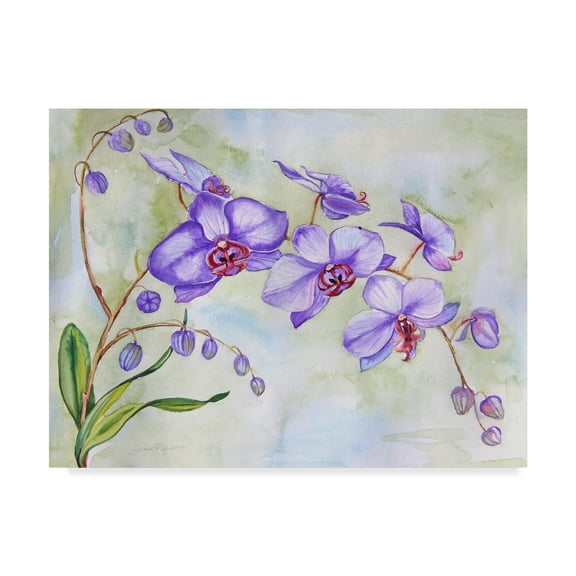 Trademark Fine Art 'Orchids Purple' Canvas Art by Jean Plout