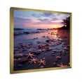 thumbnail image 2 of Designart "Photo of Beachside Starfish II" Coastal Framed Wall Art Decor - Coastal Purple Coastal Beach Hallway Framed Wall Art Decor, 2 of 6