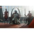 thumbnail image 4 of Black Panther 1-2 collection de Films [DVD]-Anglais Seulement, 4 of 6