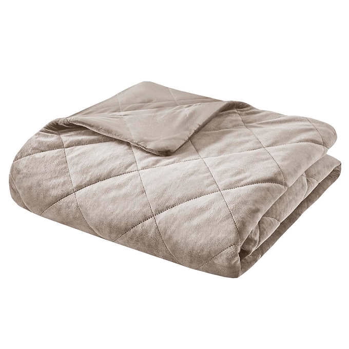 Beautyrest Platinum Weighted Blanket Beige Walmart