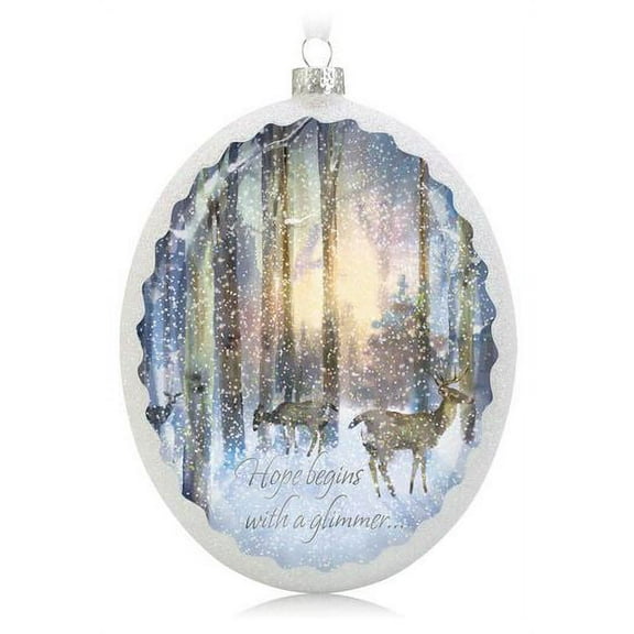 Hallmark Ornament 2014 Hope Shines Bright