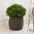 thumbnail image 1 of Valeria 18-Inch Resin Round Plant Pot and Laundry Basket with Handles- Size L, 1 of 2