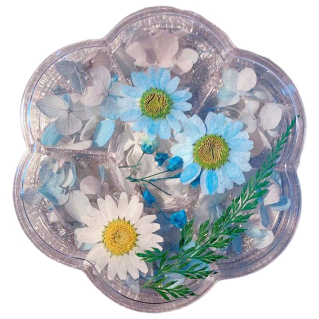 Techinal Fleurs Séchées en Résine Naturelle Embossée à Sec Adaptées pour Bougies Résine Époxy Fabrication de Savon Scrapbooking Diy Art Artisanat