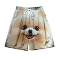 thumbnail image 2 of Runfenguu Y2K Shorts, Beach Shorts Men Casual Fashion Print Shorts With Pockets Elastic Waist Beach Pants Linen Shorts Men, 2 of 5