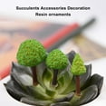 thumbnail image 3 of Moss Micro Paysage Imperméable Vert Base de Pelouse Décoration de Pièce Base Réutilisable Mossy Hills Arbres Mini Arbre Décoration pour Bureaux 2cm, 3 of 7