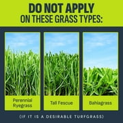 Image Kills Nutsedge Weed Killer Ready-to-Spray Herbicide, 32 oz.