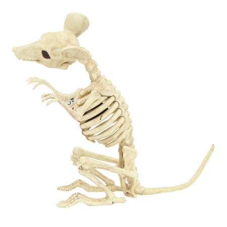 Halloween Animal Skeleton Assortment
