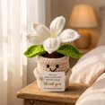 thumbnail image 5 of Crocheted Potted Plant Decor Single Piece Thank You Gift for Teachers and Coworkers, 5 of 5
