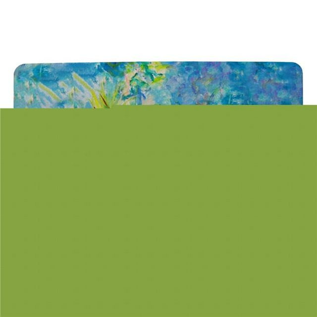 Betsy Drake DM1153 Perroquet Vert de 18 x 26 Po II Tapis de Porte