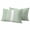 DarkSeaGreen, variant on 2 Pack Outdoor Waterproof Throw Pillows, Modern Black White Striped Decorative Rectangle Pillow Case Patio Pillows for Chair Couch Sofa 20x12in