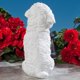 thumbnail image 5 of Bits And Pieces - Estatua De Farol Solar Bichón - Farol De Jardín Con Energía Solar - Escultura De Perro Blanco De Resina Con Luz Led - Iluminación Exterior Y D?Or Maltés Boloñés Cotón De Tulear Haban, 5 of 5
