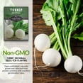 thumbnail image 3 of 2 Packs Snowball Turnip Seeds - Non-GMO Heirloom Full Sun Biennial Vegetable, 3 of 7