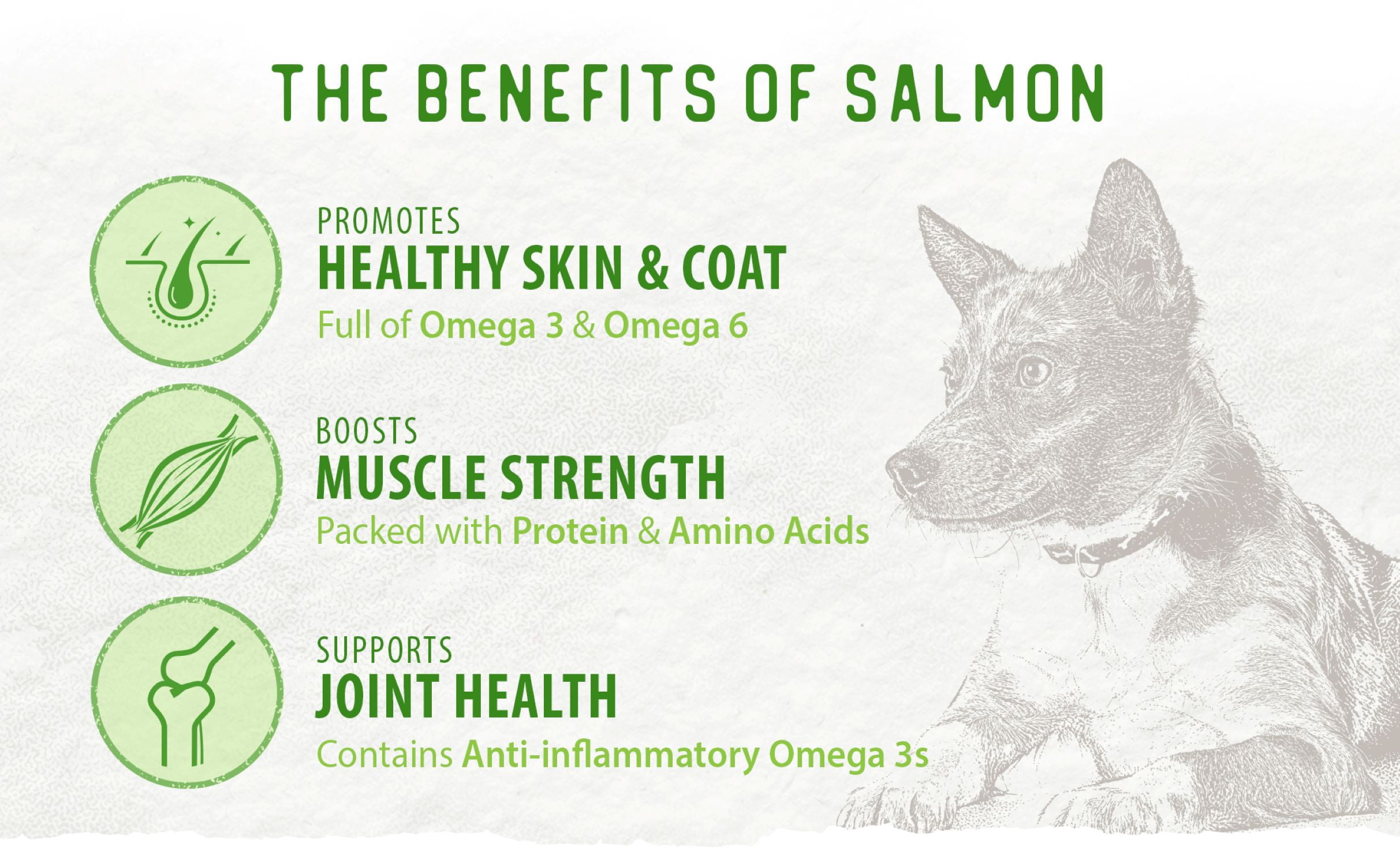 (4 pack) Caledon Farms Salmon Bites Dog Food Topper, 3.2 oz Bag