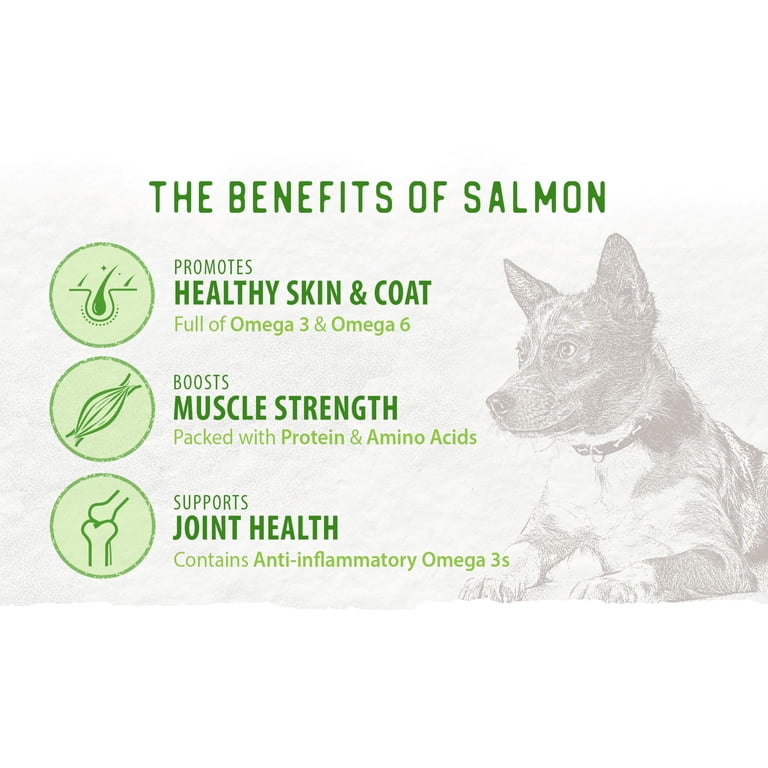 Salmon Bites Freeze-Dried Dog Food Topper photo 6