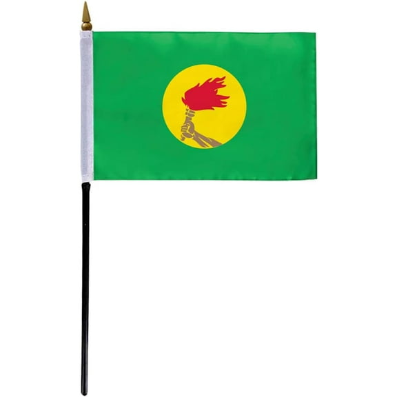 AGAS Zaire Flag 4x6 inch - 11" Plastic Pole 100% Polyester Stitched Edges Congolese Mini Flag on a Stick