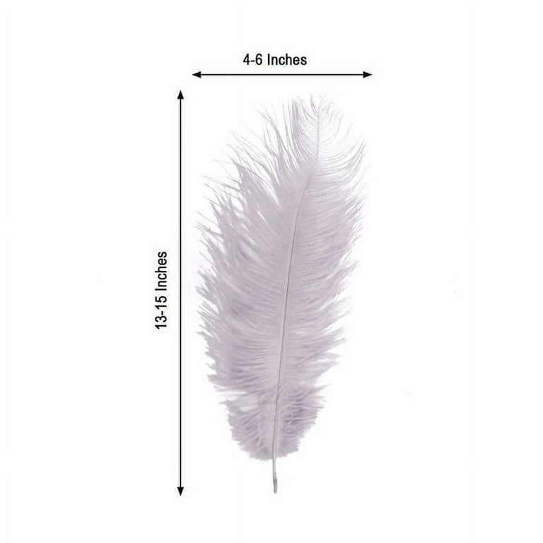 Efavormart 12pcs 13 inch-15 inch Fabulous Natural Ostrich Feathers Plume for Wedding Centerpieces Home Decoration - White