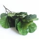thumbnail image 4 of Adorno de hojas de plantas verdes de simulación, accesorios de hojas de árbol, ramas de Ficus Pandurata Hance, accesorios de fotografía, manualidades DIY para decoración del hogar (verde), 4 of 6