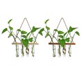 thumbnail image 6 of Test Tube Vase Flower Pot Hydroponic Plants Pots Creative Wall Hanging Terrariums Stand Bud Home Wooden Glass Planter, 6 of 10
