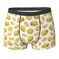 thumbnail image 6 of Men's Boxer Briefs, Cute Gold Lemon Soft Comfy Mens Underwear Boxer Briefs Breathable With Widen Waist, 6 of 7