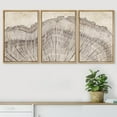 thumbnail image 2 of PixonSign Framed Wall Art Set Retro Close Up Oak Wood Tree Rings Nature Wilderness Modern Art Decorative Farmhouse Zen Artwork for Living Room, Bedroom, Office - 24"x36"x3 Natural, 2 of 5