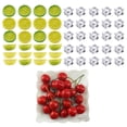 thumbnail image 1 of Coofit Artificial Fruits Set Realistic 69PCS Decorative Acrylic Ice Cubes Fruit Models, 1 of 10