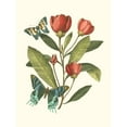 thumbnail image 3 of Vision Studio 15x18 Black Modern Framed Museum Art Print Titled - Midsummer Floral II, 3 of 5