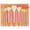 The Wanderer, 9 Piece Set, variant on 11 Piece Travel Fantasy Mini Brush Set, Travel Size Makeup Brushes For Foundation Eyeshadow, Powder, Blush, Contour, & Concealer, Makeup Bag Included, Gift Set, Cruelty-Free