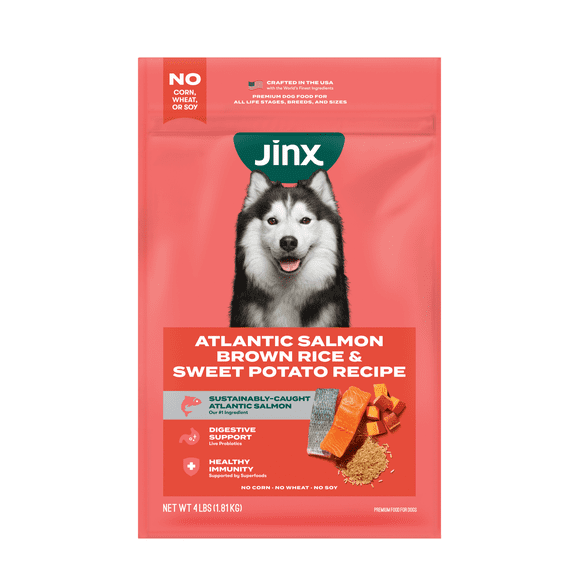 Jinx Salmon, Brown Rice, & Sweet Potato Dry Dog Food, 4 lb Bag
