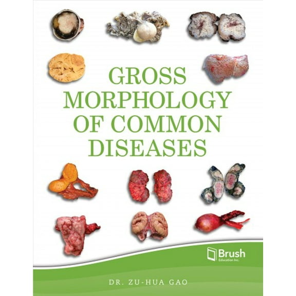 Gross Morphology of Common Diseases (Hardcover)
