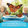 thumbnail image 2 of Kit de cultivo de mariposas National Geographic Ultimate con 5 orugas, 2 of 8