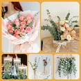 thumbnail image 2 of 12 Pcs Dried Preserved Eucalyptus Stems Bundle, 17" 100% Natural Eucalyptus Plant, Fresh Eucalyptus for Shower Hanging, Dried Flowers Arrangement Home Decor (Green), 2 of 8
