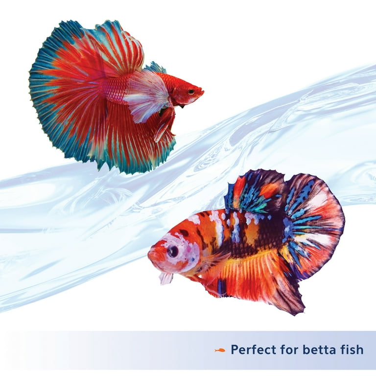 Fish-Free Insect-Based Pellets for Betta Fish photo 4
