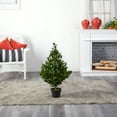 thumbnail image 5 of Nearly Natural 35" Olive Cone Topiary Artificial Tree (Indoor/Outdoor), 5 of 5