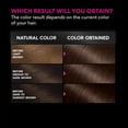 thumbnail image 5 of Garnier Olia Oil Powered Permanent Hair Color, 4.15 Dark Soft Mahogany, 5 of 9