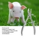 thumbnail image 3 of Pinza Para Dientes De Cerdo, Cortador De Dientes De Lechón De Acero Inoxidable Que Promueve El Crecimiento De Superficies Pulidas, Operación Simple De 4,7 Pulgadas Para Animales, 3 of 7