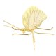 thumbnail image 3 of Zinc Alloy Butterfly Decor for Warm and Comfortable Ambience Creation, 3 of 5