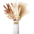 thumbnail image 1 of Ramo de Decoración de Hierba de Pampas de Flores Secas para Hogar de Mesa, 1 of 6