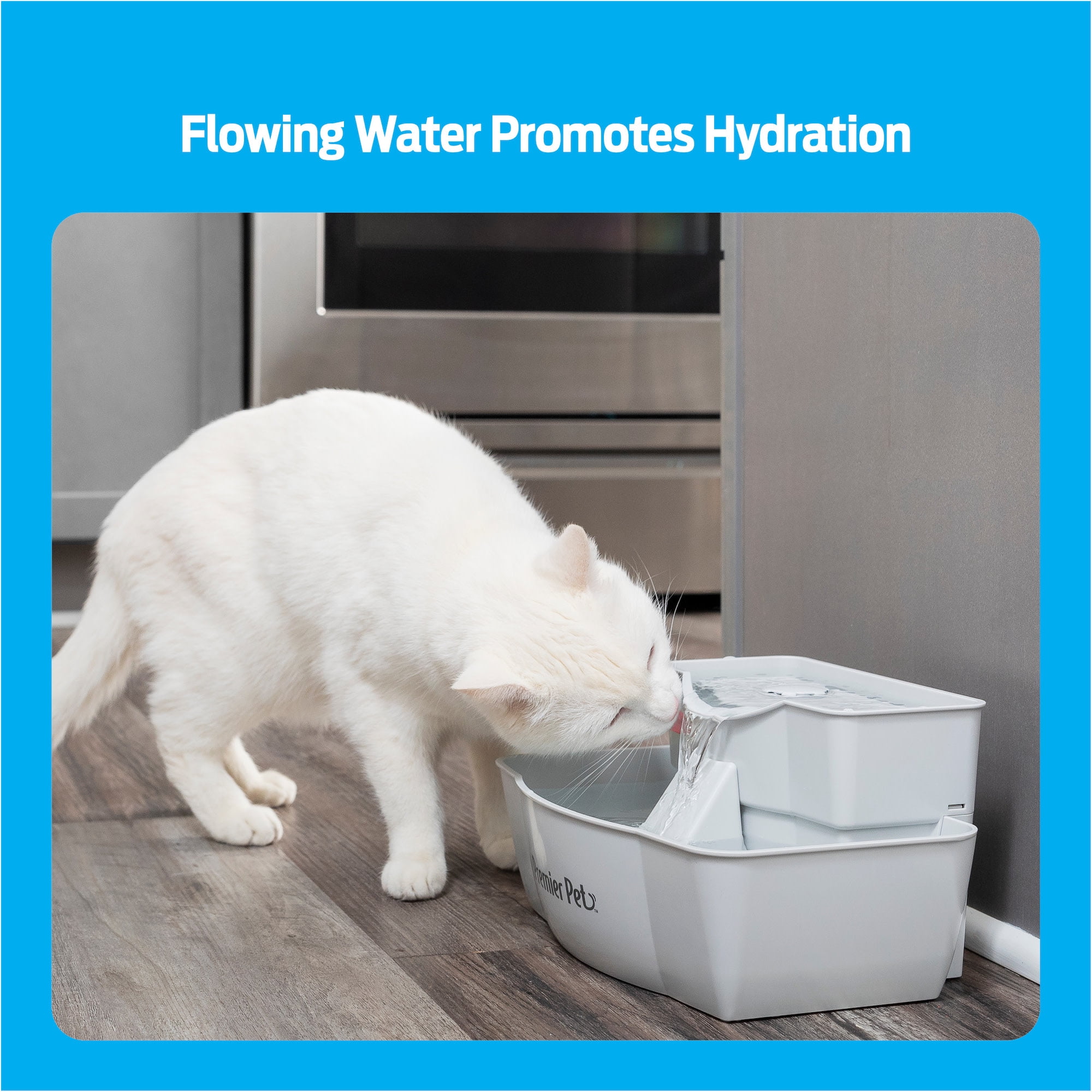 Premier Pet 100 oz. Pet Fountain Automatic Water Fountain for Dogs and Cats